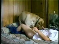 White dog smashing a sexy bitch on the bed